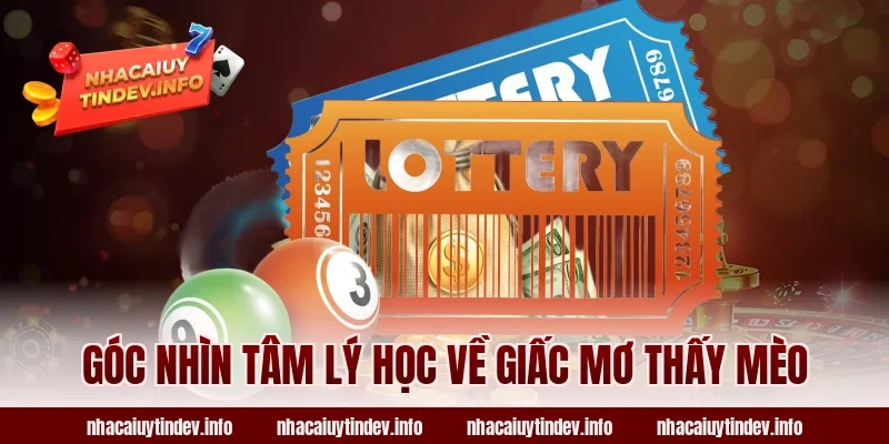 Góc Nhìn Tâm Lý Học Về Giấc Mơ Thấy Mèo