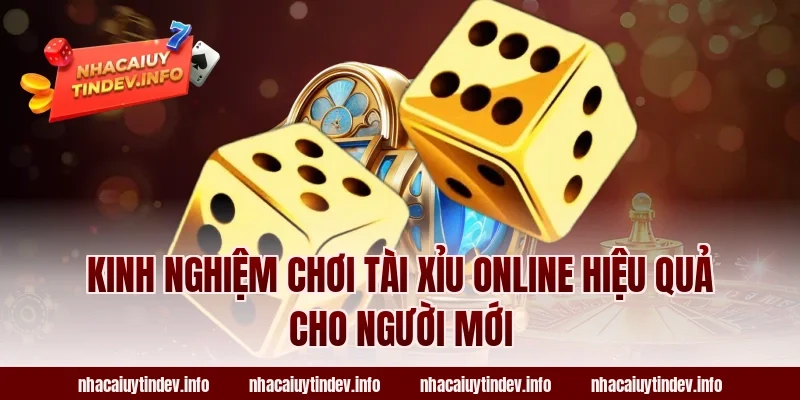 Kinh Nghiệm Chơi Tài Xỉu Online Hiệu Quả Cho Người Mới