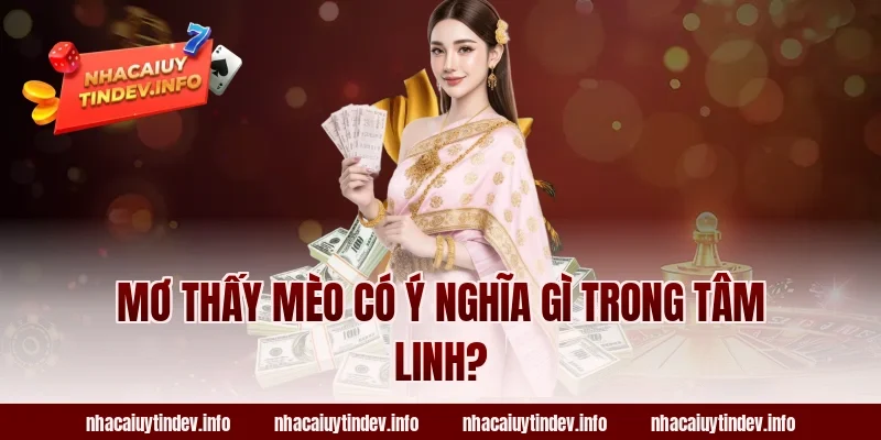 Mơ Thấy Mèo Có Ý Nghĩa Gì Trong Tâm Linh?